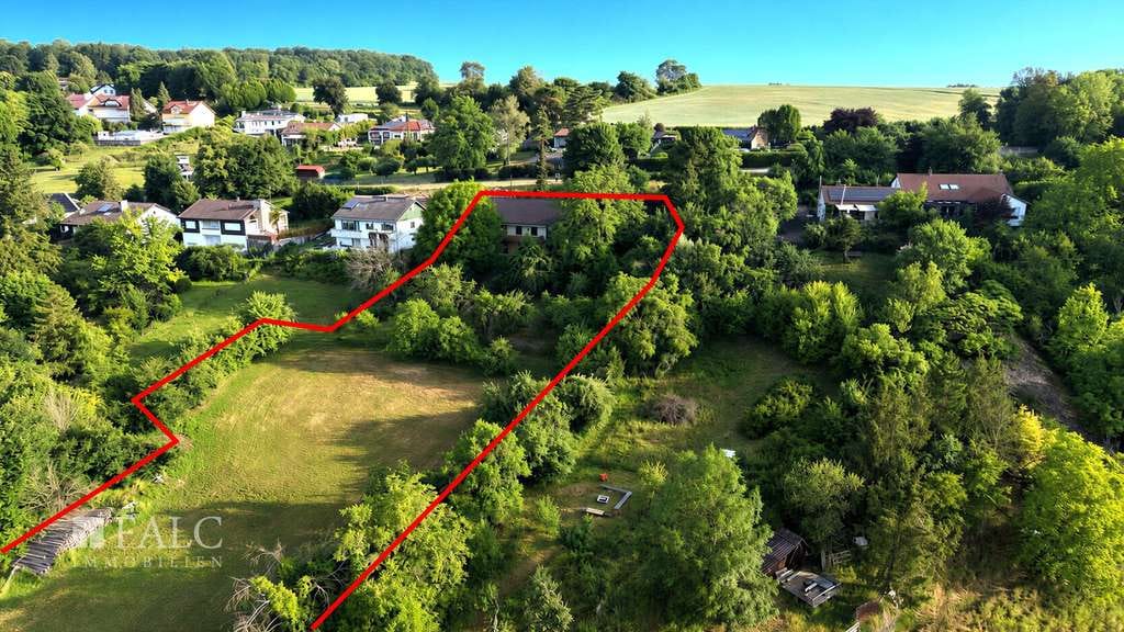 Immobilie in Jagsthausen - Naturparadies mit Weitblick auf die Stadt! Doppelhaus mit über 4.200 m² Grundstück - FALC Immobilien - Bild 2
