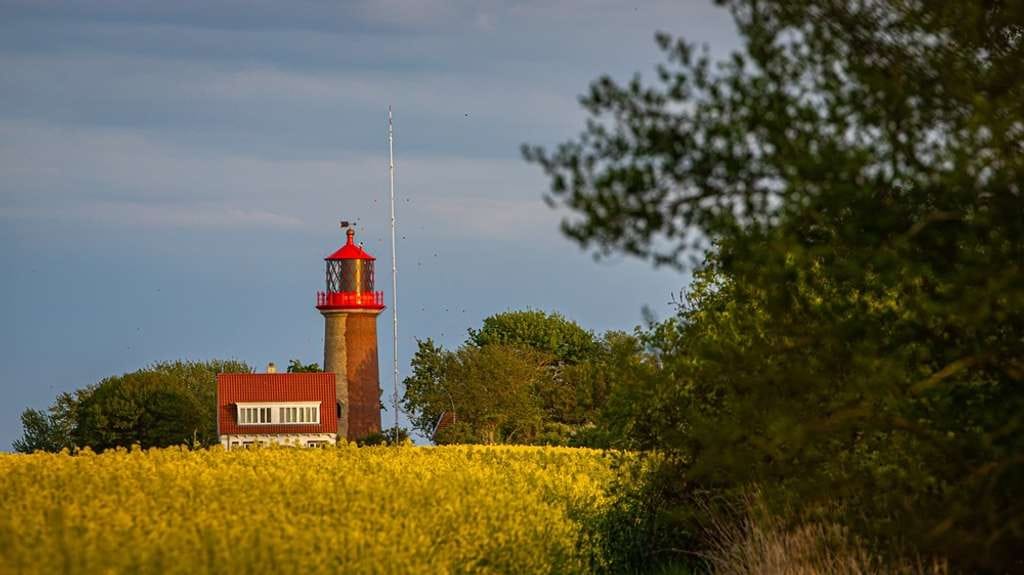 Immobilie in Fehmarn - TOP INVEST FAKTOR 22 AUF FEHMARN – VIELSEITIGE NUTZUNG UND HERVORRAGENDES WERTSTEIGERUNGSPOTENZIAL! - Bild 3