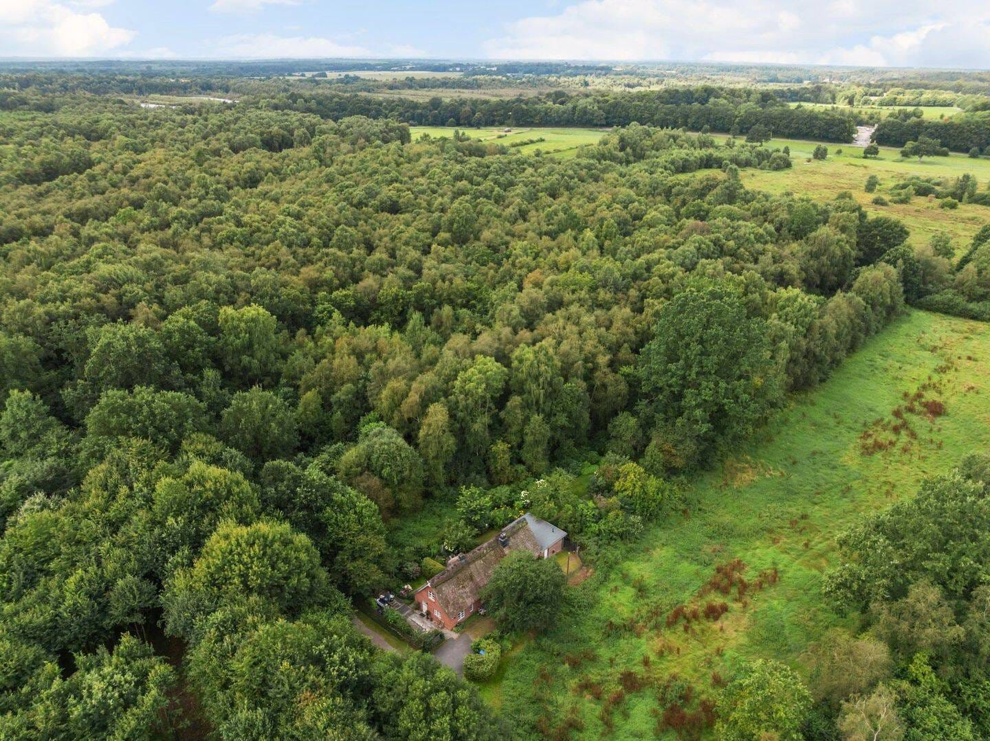 Immobilie in Nehms - Modernes Reetdachhaus in Alleinlage - Bild 4