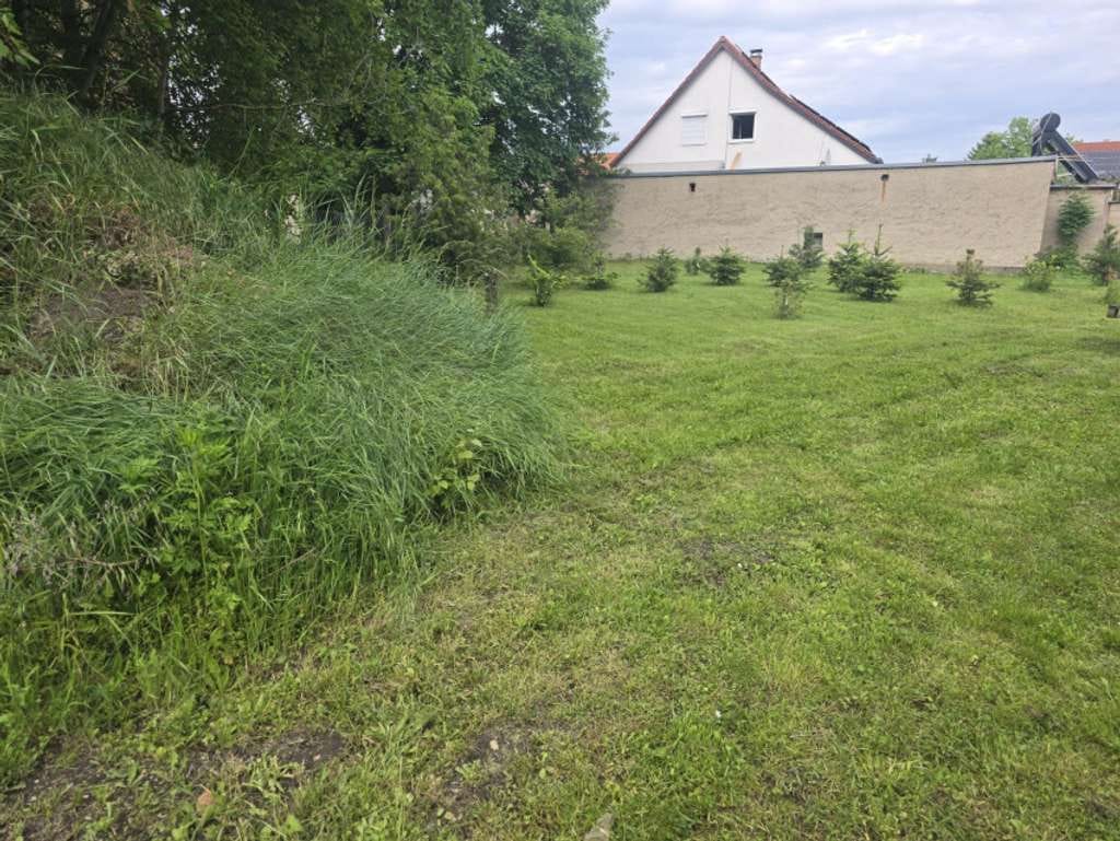 Immobilie in Osternienburger Land - Freistehendes Einfamilienhaus mit Ausbaupotential! - Bild 4