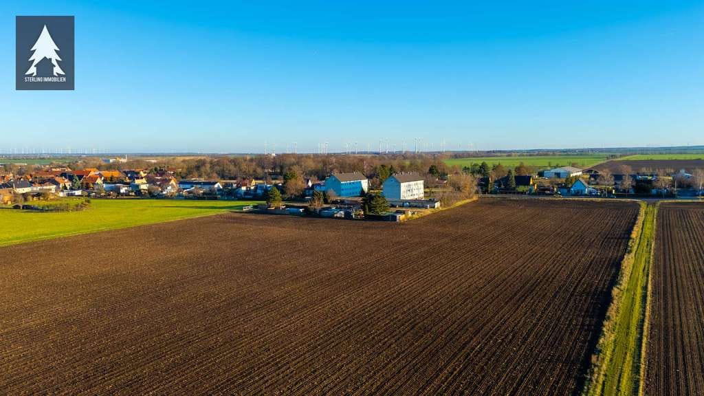 Immobilie in Seeland - Ganz oben angekommen – unterm Dach, über dem Alltag, mit Weitblick in Hoym - Bild 3