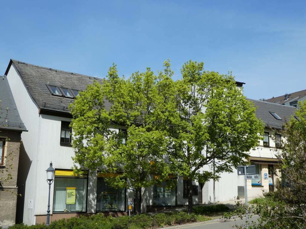 Immobilie in Greiz - TOP -ANGEBOT FÜR KLEININVESTOREN! - KOMPLETT VERMIETETES MFH MIT GEWERBEEINHEIT! - Bild 2