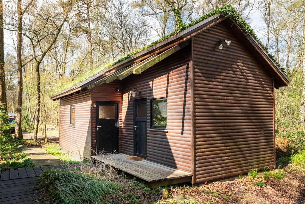 Immobilie in Lauenbrück - Sauna. Wald. Freiheit. - Bild 4