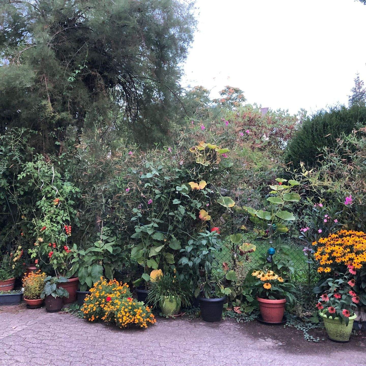 Immobilie in Sinzig - Historische Rarität: Stadtvilla mit 3 Wohnungen, 6 Stellplätzen und Garten - Bild 1