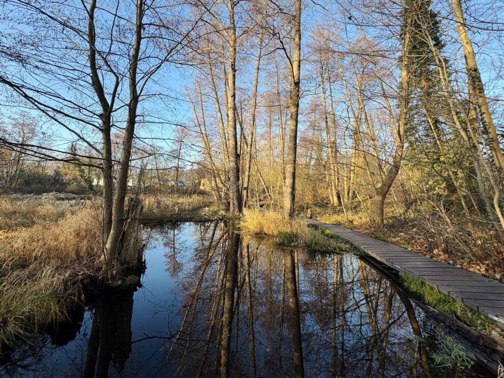 Immobilie in Birkenwerder - Ruhig gelegenes MFH am Briesetal mit viel Potenzial. - Bild 3