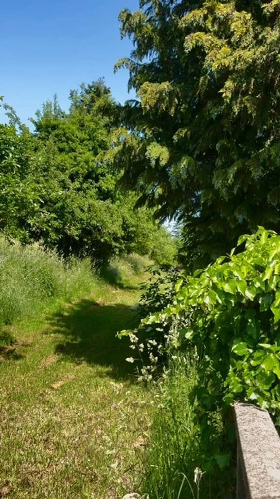 Immobilie in Ober-Ramstadt - Natur & viel Platz: Freistehendes Zweifamilienhaus mit Garten in Ober-Ramstadt - Bild 2