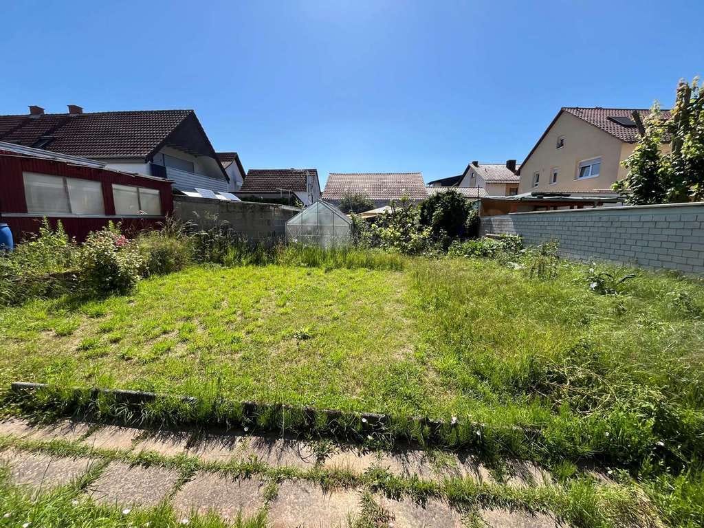 Immobilie in Römerberg - Charmantes Einfamilienhaus mit großem Garten und vielfältigen Möglichkeiten - Bild 3