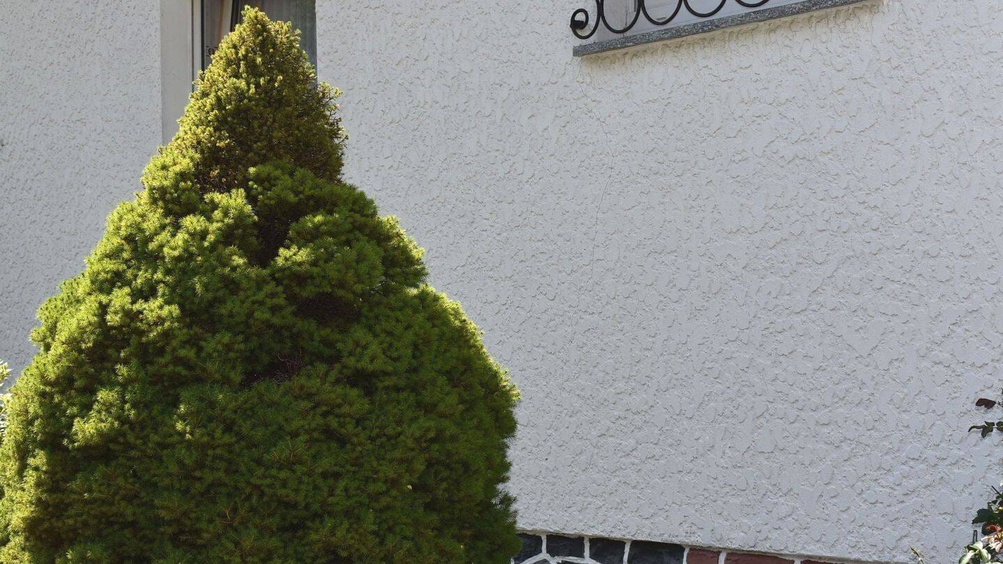 Immobilie in Mengerskirchen - Flexibel nutzbares Einfamilienhaus mit Einliegerwohnung Mengerskirchen ++ Dillhausen ++ - Bild 4