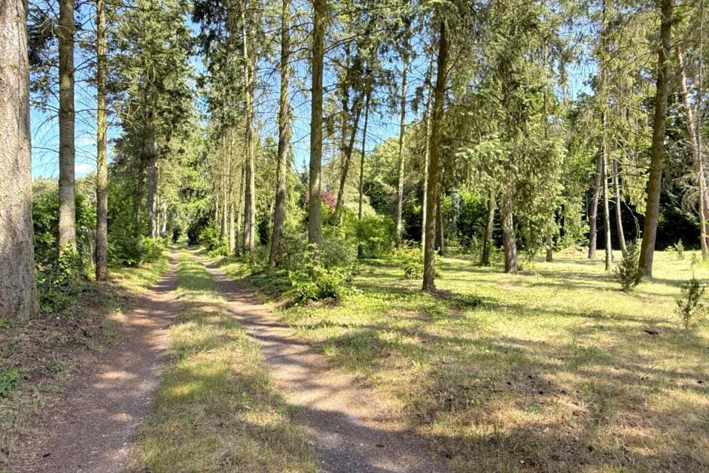 Immobilie in Havelsee - Einfamilienhaus freistehend in Havelsee (Fohrde) - Bild 2