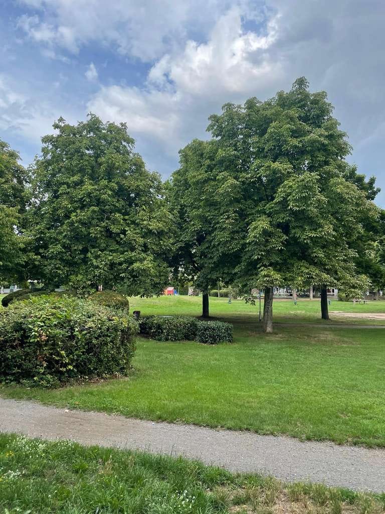 Immobilie in Münster (Hessen) - OG - Wohnung - Stellplatz - Eigennutzer - Kapitalanleger - Bild 0