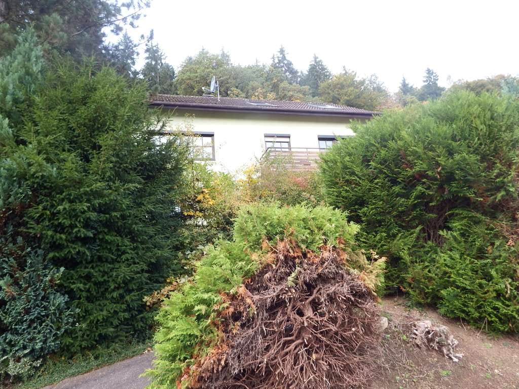 Immobilie in Horb am Neckar - Ein Zuhause über den Dächern des Tals – Ruhe, Natur und unverbaubare Aussicht - Bild 2