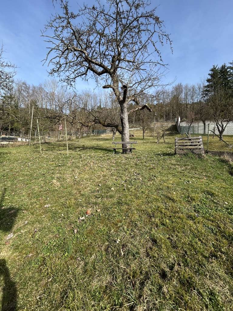Immobilie in Dollnstein - Charmantes Bauernhaus aus dem 18 Jhrdt. im wunderschönen Altmühltal - Bild 3