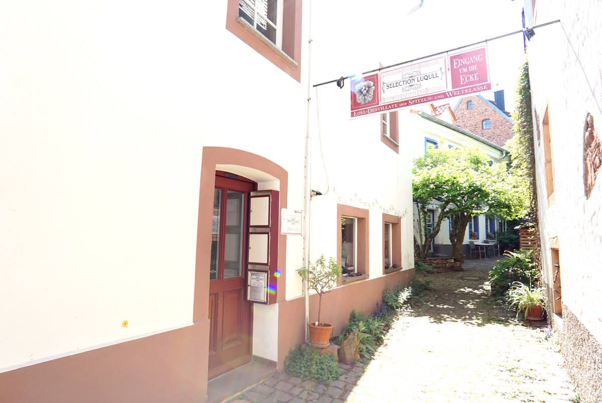 Immobilie in Neckargemünd - Ein Haus mit Geschichte: Charmantes Investment in bester Lage von Neckargemünd! - Bild 3