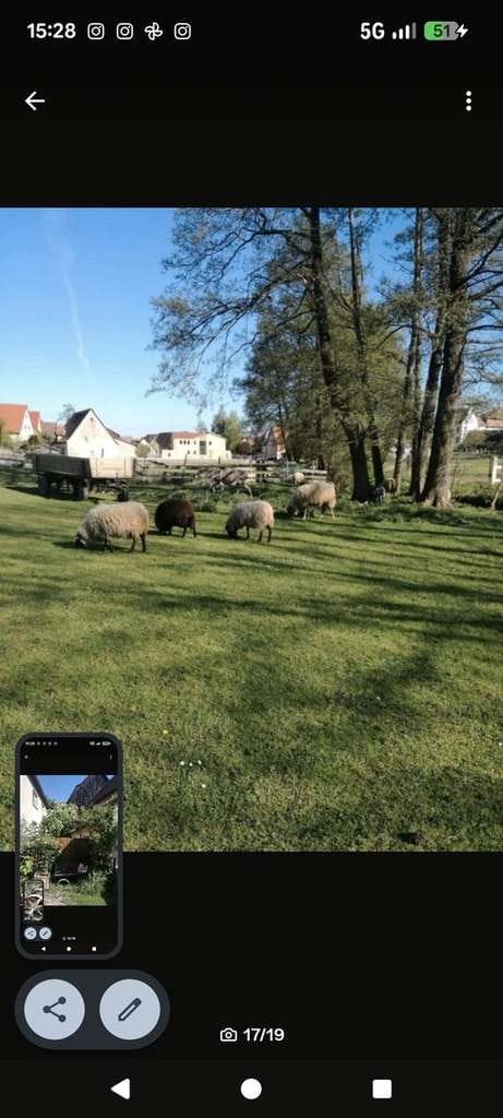Immobilie in Wilhermsdorf - Haus - Mühle - Bauernhaus-Einzigartig Wohnen in ländlicher Idylle - Bild 4