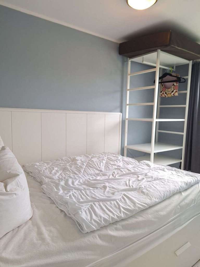 Immobilie in Sundhagen - 60 m Luftlinie zum Strand - Ferienhaus mit Gastherme am Strelasund in Stahlbrode - Bild 4