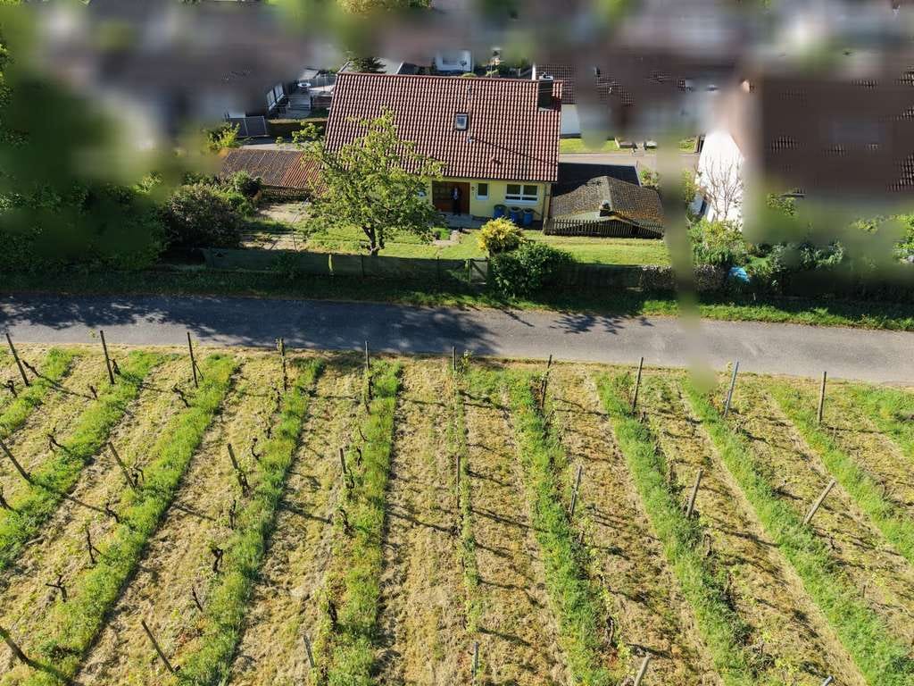 Immobilie in Pfaffenhofen - VBU Immobilien - Mit viel Platz, flexibler Nutzung, Ausbaupotenzial und unverbaubarer Aussicht - Bild 3