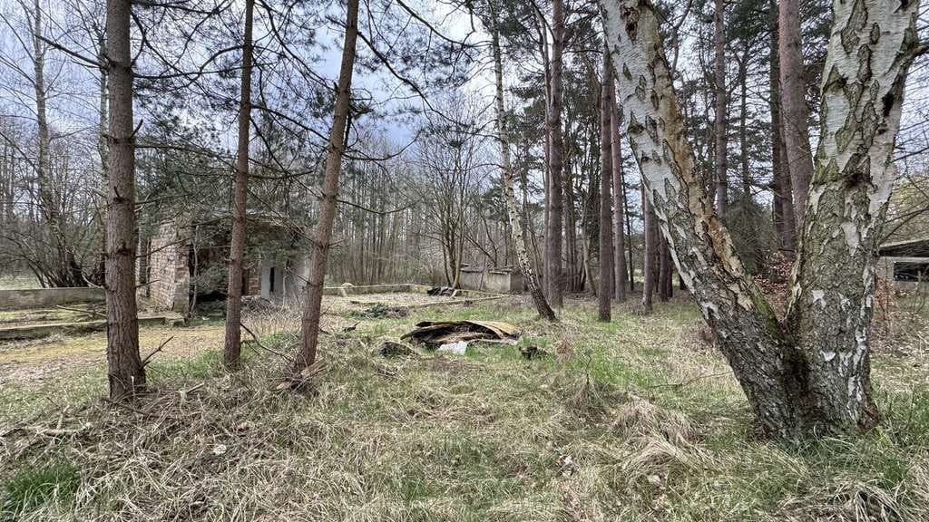 Immobilie in Ückeritz - Traumhaftes Anwesen an der Ostsee – 22.000 m² Naturidylle in Ückeritz - Bild 2