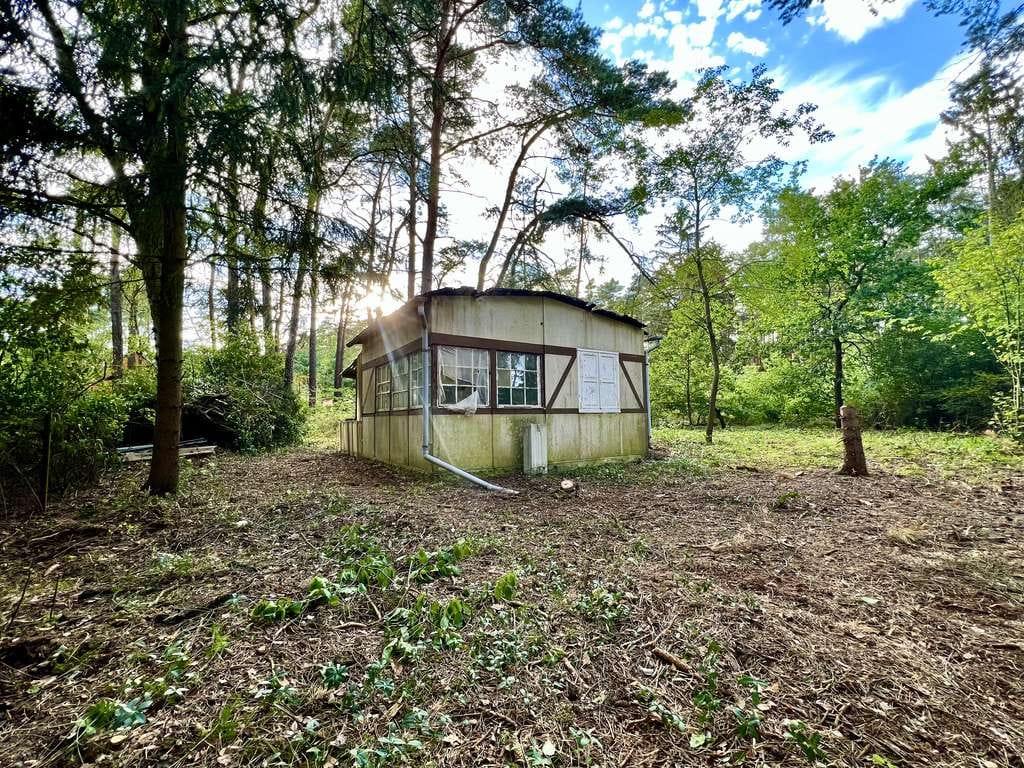 Immobilie in Borkheide - Waldgrundstück mit Bestandsgebäude in Borkheide 799 m² Nähe Berlin - Bild 0