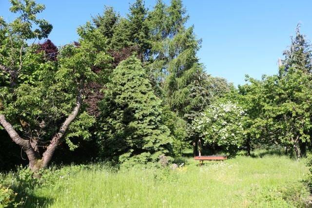 Immobilie in Wittenburg - Immobilie mit Grundstück und weiteren Bauplatz! - Bild 3