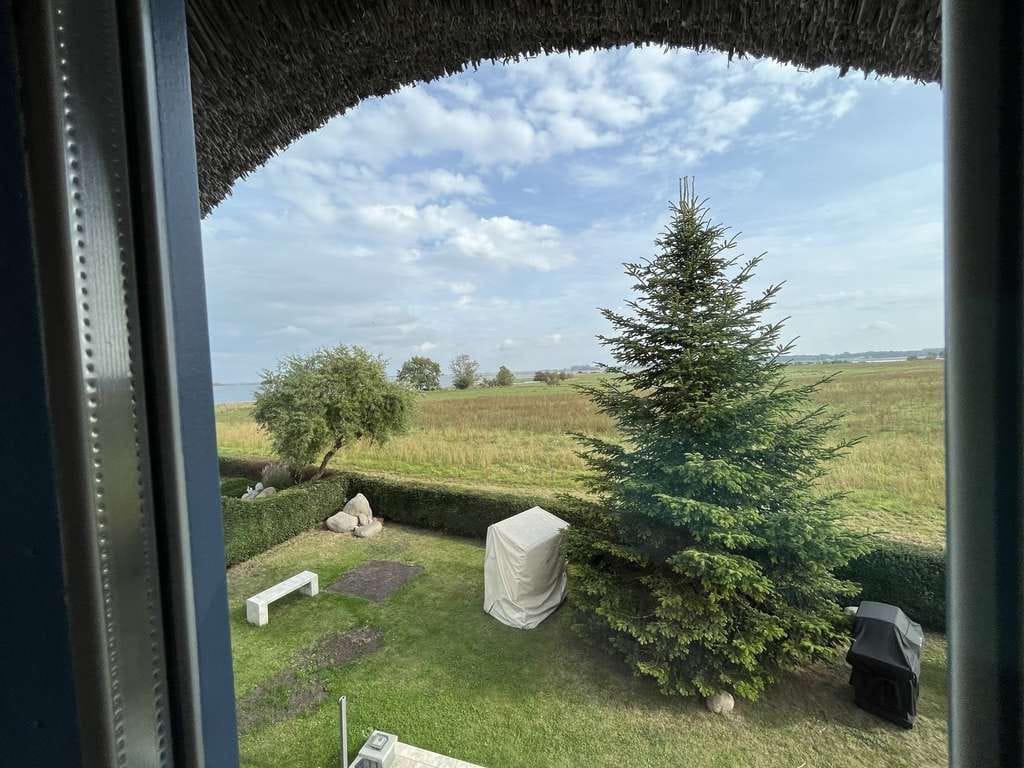 Immobilie in Ummanz - *Rarität* Einzigartiges Reetdachhaus mit unverbaubarem Boddenblick - Bild 4