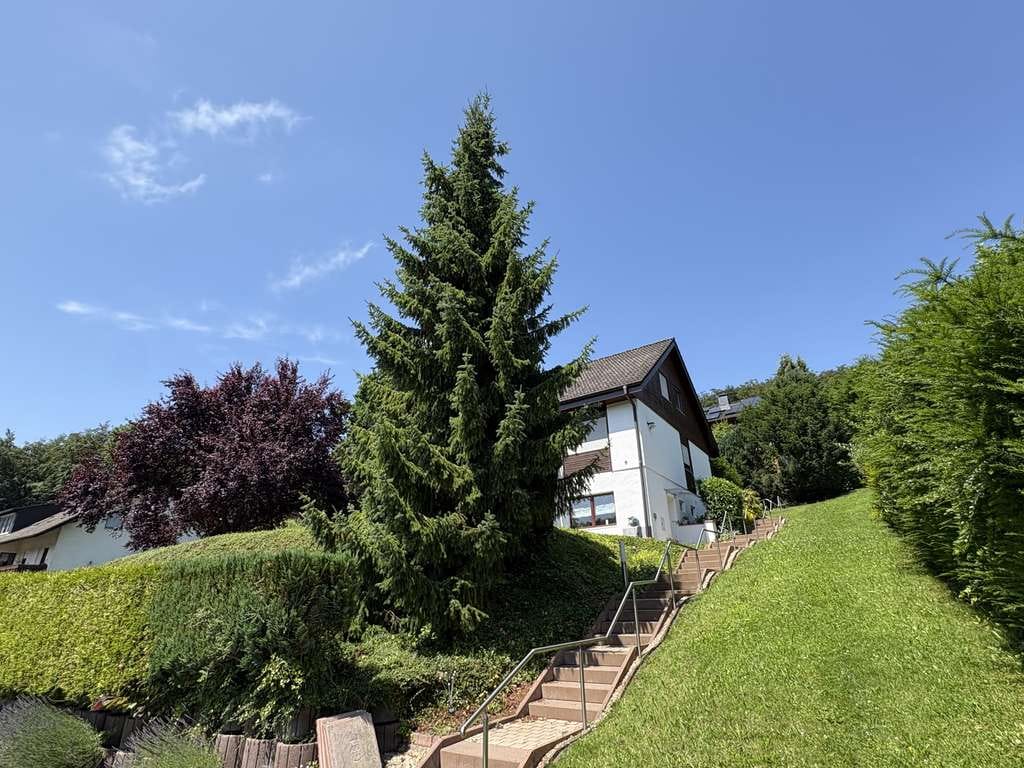 Immobilie in Fuldatal - Familienfreundliches, naturnahes Zuhause mit viel Platz und separater Einliegerwohnung - Bild 4