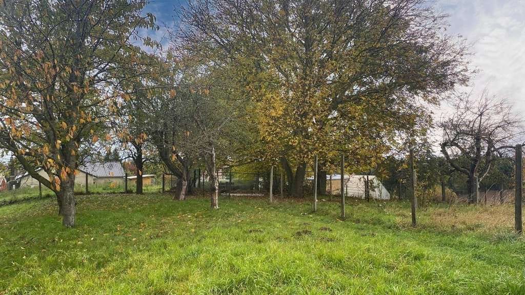 Immobilie in Leisnig - Viel Platz und Potential - Bild 4