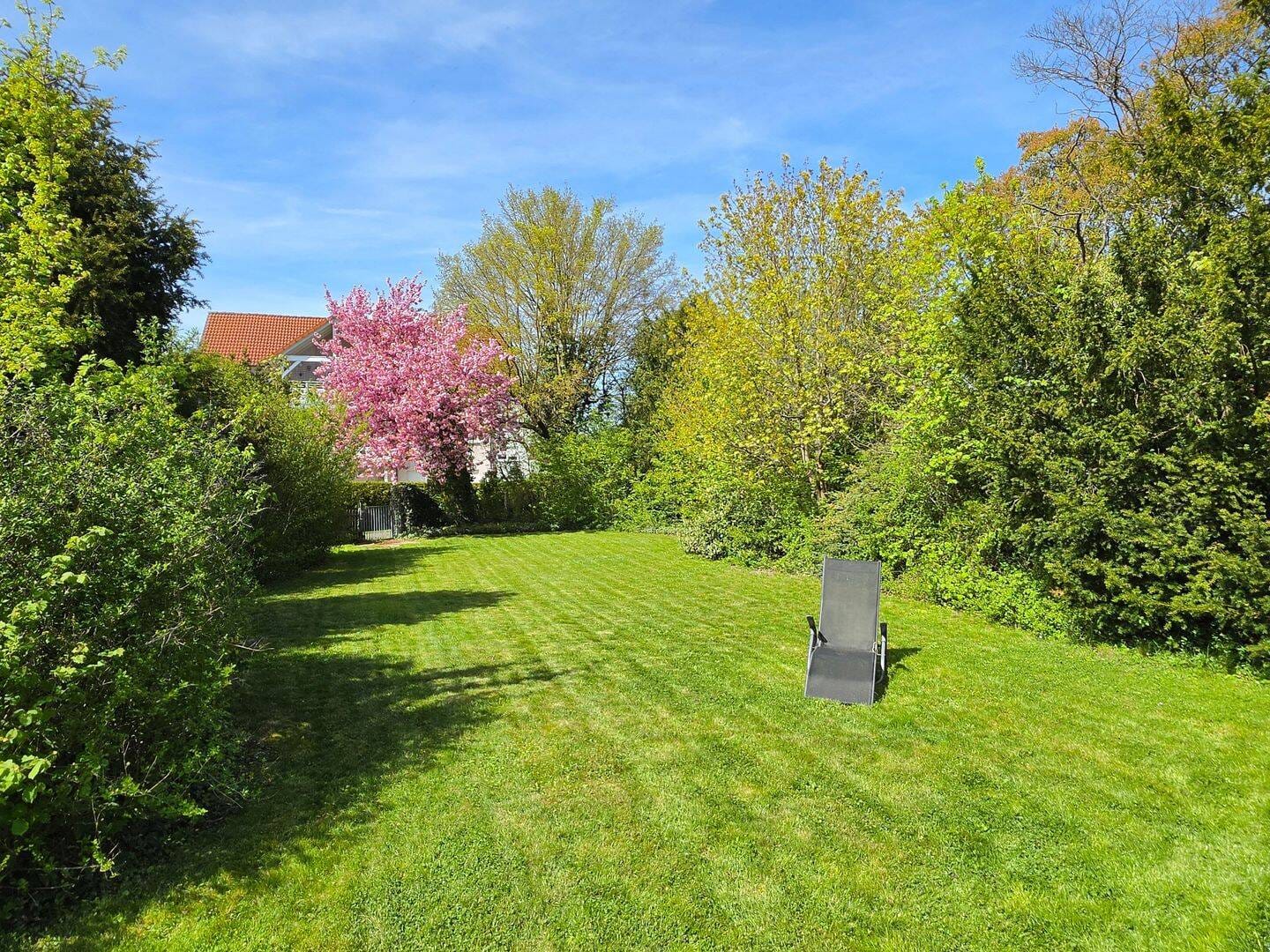 Immobilie in Dörfles-Esbach - Bungalowstil - modernisiertes Einfamilienhaus mit Traumgarten in TOP-Lage! - Bild 3