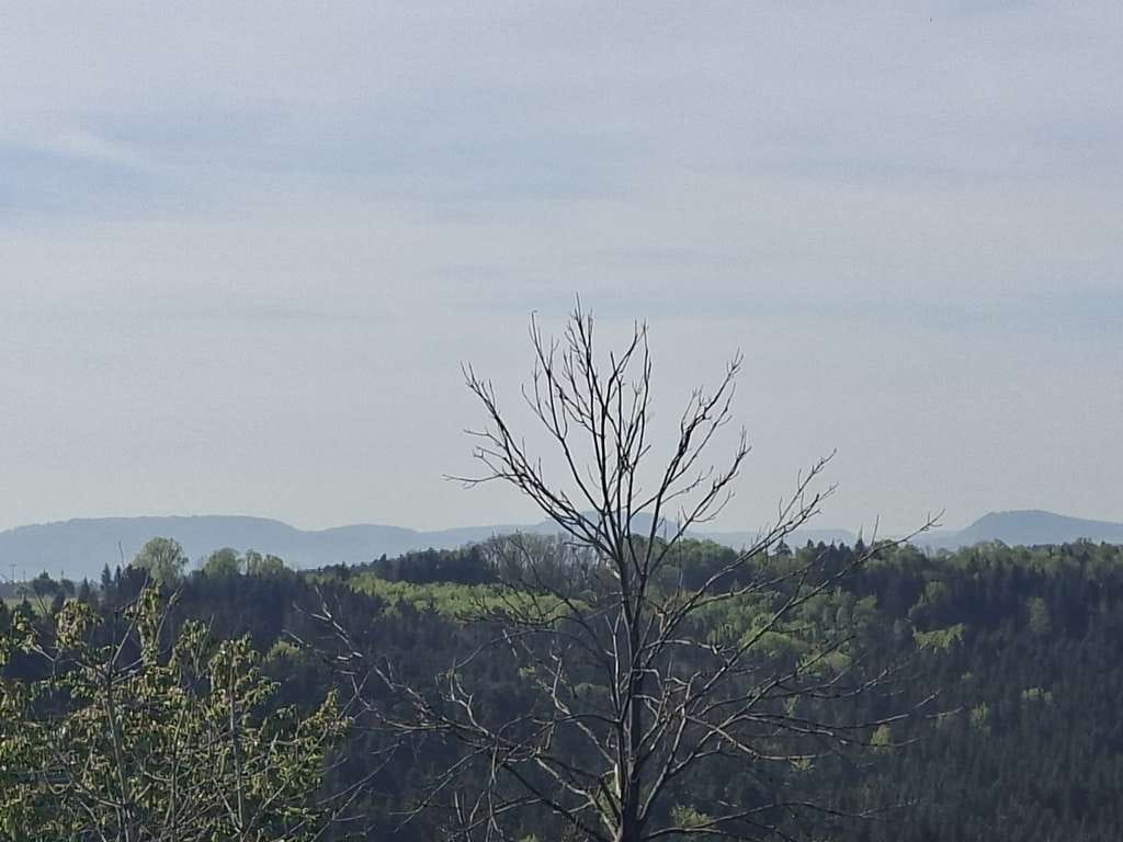 Immobilie in Gschwend - Freistehendes Wohnhaus mit 2 Wohnungen und Nebengebäuden - Bild 3