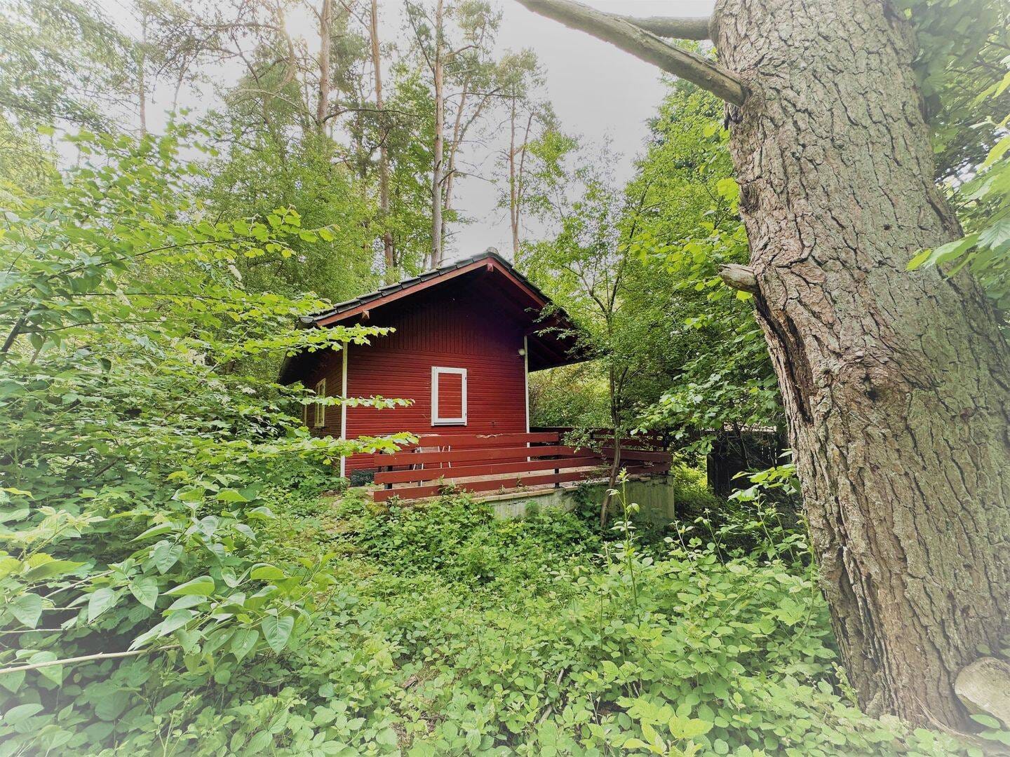 Immobilie in Carlsberg - *** Kleines Wochenendhaus im Naturschutzgbiet Pfälzerwald in Carlsberg-Hertlingshausen *** - Bild 1