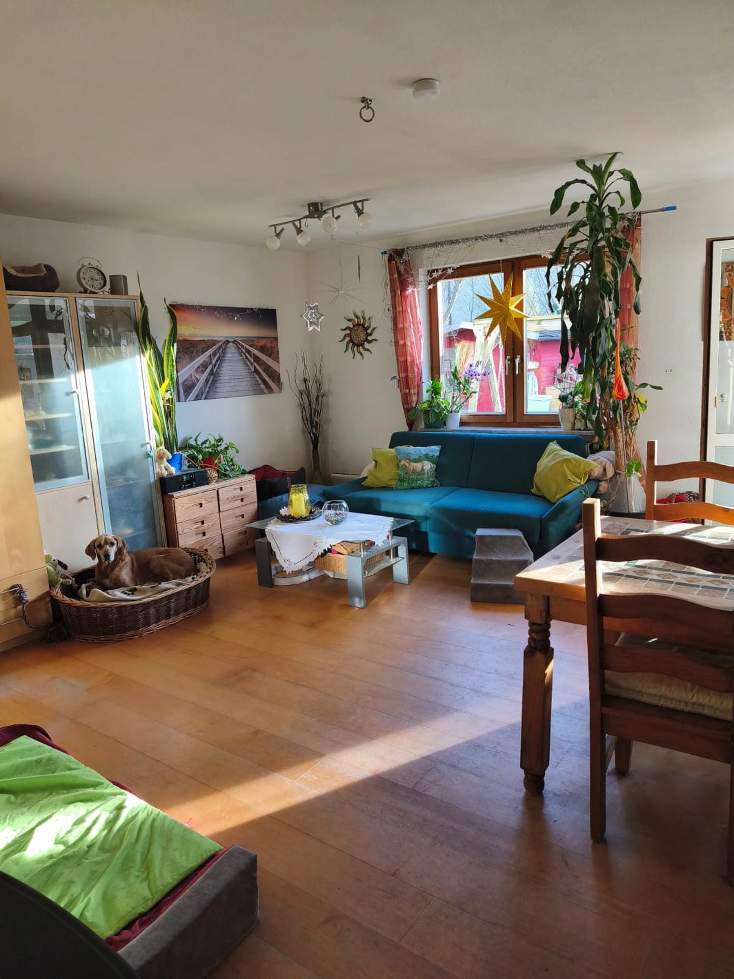 Immobilie in Zorneding - Schöne 3-Zimmer-Erdgeschosswohnung mit großem tollen Garten in Zorneding - Bild 3