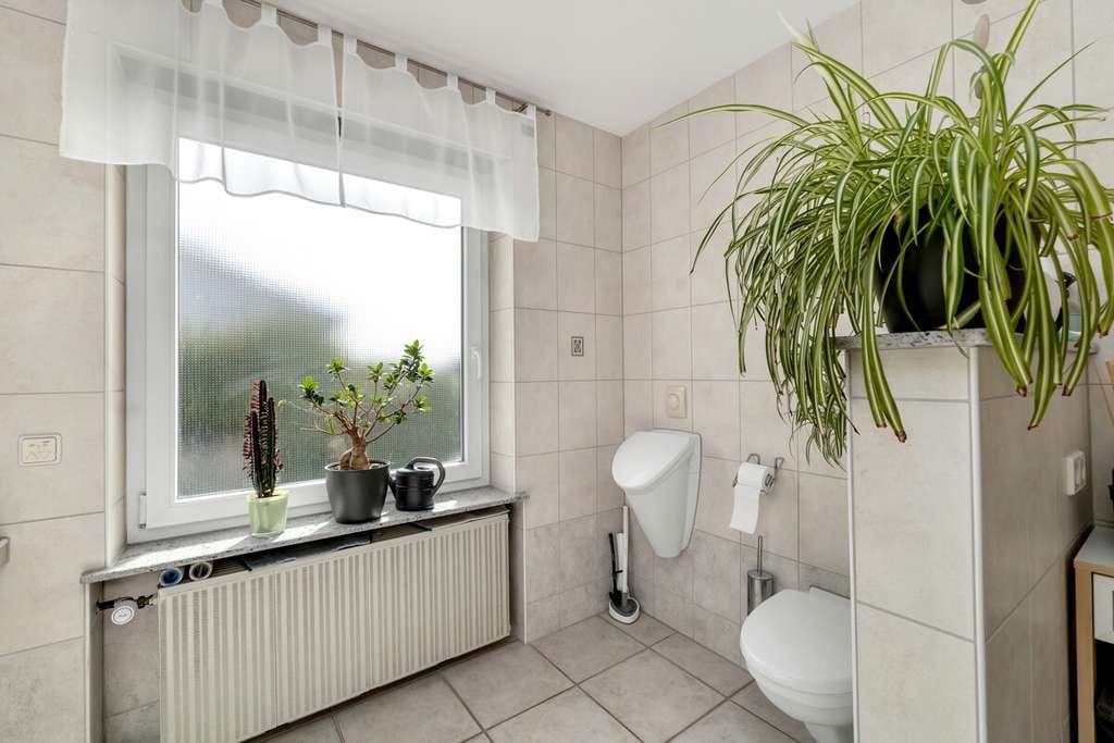 Immobilie in Satteldorf - Attraktives Einfamilienhaus 
mit Einliegerwohnung 
und umfangreichen Parkmöglichkeiten - Bild 4
