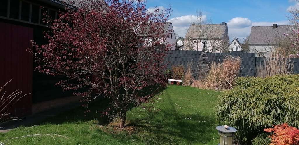 Immobilie in Reinsfeld - Charmantes Einfamilienhaus mit Terrasse, Garten & Carport in ruhiger Lage - Bild 2