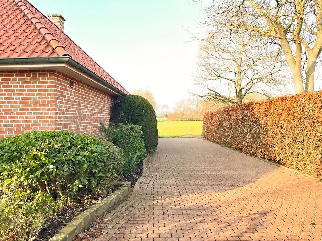 Immobilie in Ostbevern - Außergewöhnliches Ein- oder Zweifamilienhaus - Mehrgenerationen - Bild 4