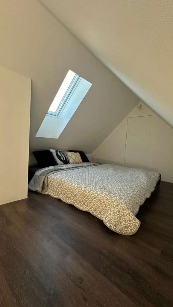 Immobilie in Langenwetzendorf - EFH -provisionsfrei-mit großem Grundstück, unverbaubar am Feld - Bild 4