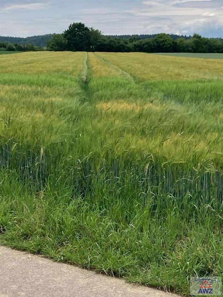 Immobilie in Kettershausen - Kleine Hofstelle (Wohnhaus) mit eventuell landwirtschaftlichen Flächen! - Bild 0