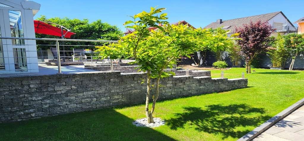 Immobilie in Hanhofen - Gepflegter Bungalow in ruhiger Wohnlage mit schönem Garten - Bild 3