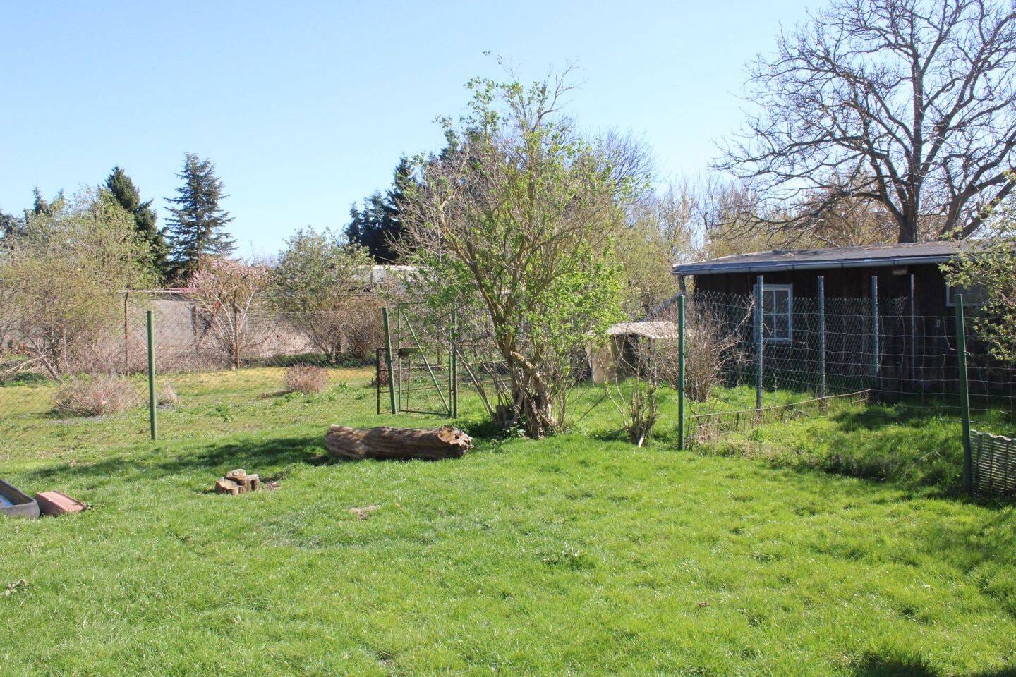 Immobilie in Arzberg - Viel Platz für Tierhaltung oder Hobbys in Packisch:  Kompakte Doppelhaushälfte mit großem Grundstück - Bild 3