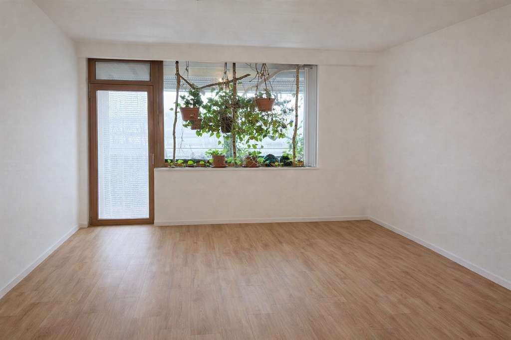 Immobilie in Hattersheim - Garantiert 6+ % Rendite! 2Z, Stellplatz, Balkon - Bild 0
