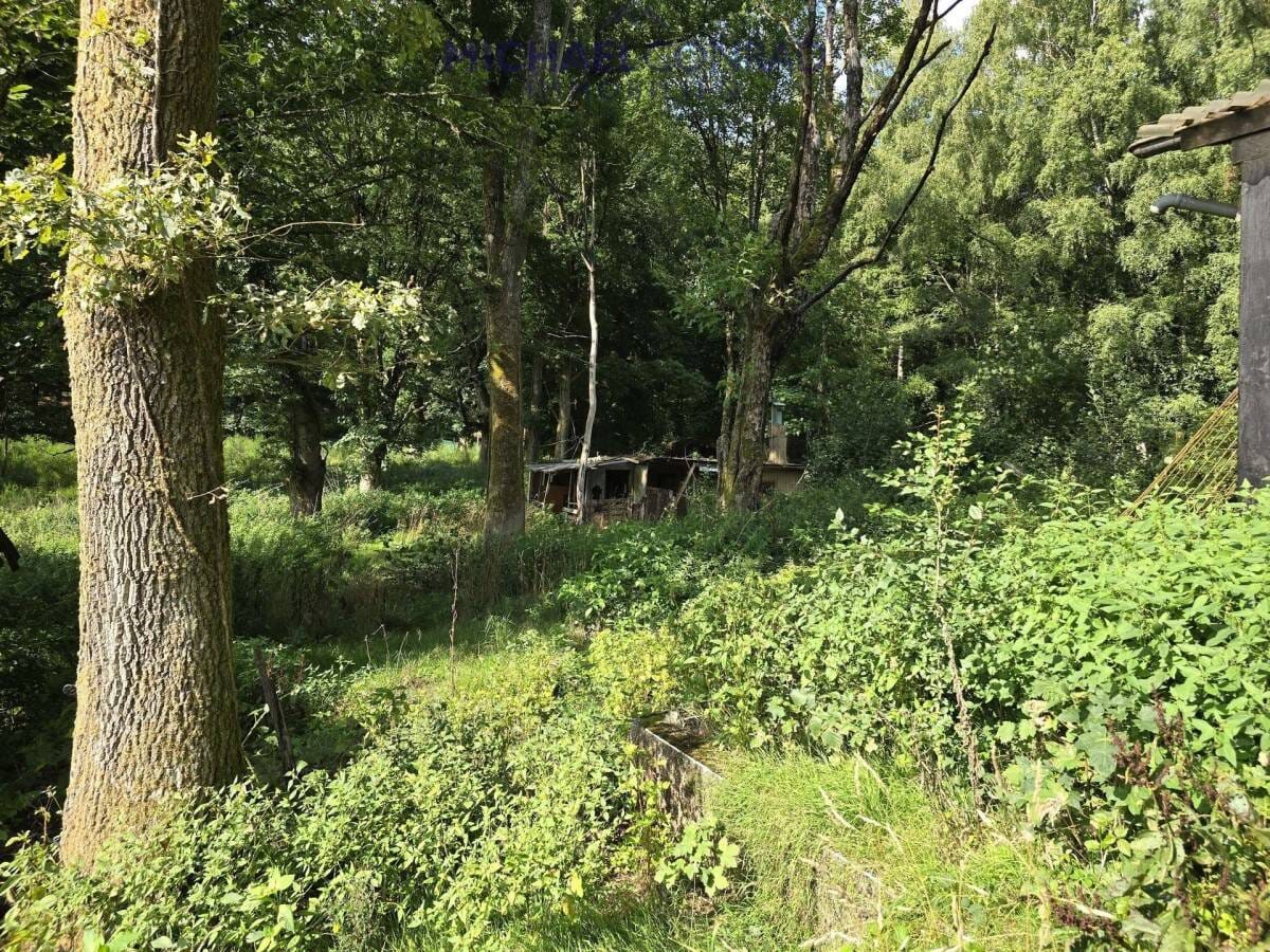 Immobilie in Schmelz - Seltene Gelegenheit! Häuschen im Grünen! Natur pur! - Bild 3