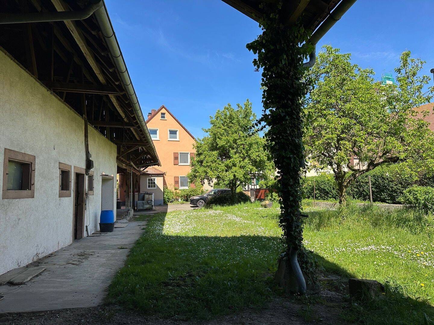 Immobilie in Weisweil - Wohnhaus mit Ökonomiegebäude auf sehr großem Grundstück - Bild 2