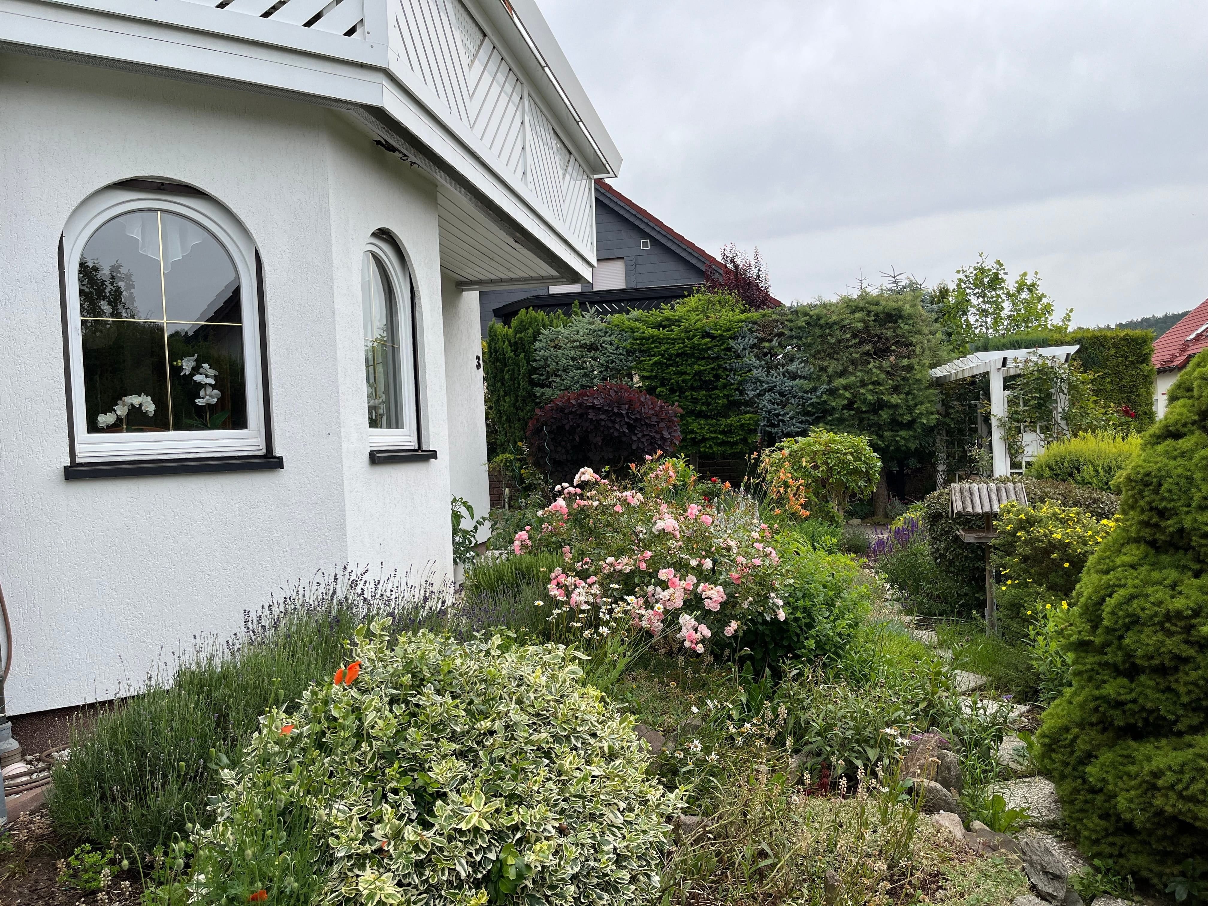 Immobilie in Dürrröhrsdorf-Dittersbach - Gepflegtes Einfamilienhaus in idyllischer Lage 20 km östlich von Dresden - Bild 3