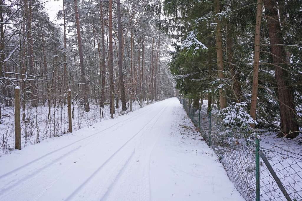 Immobilie in Lindwedel - Wochenendhaus mit Seele - Natur, Ruhe und echter Lebensqualität! - Bild 1