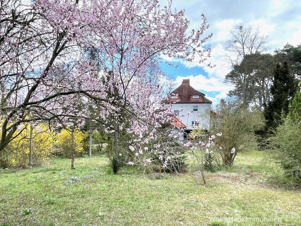 Immobilie in Nuthetal - Großes Wohnhaus mit großem Garten für Ihre Familie - Bild 0