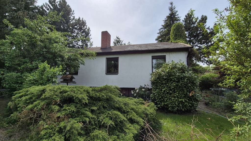 Immobilie in Aken (Elbe) - Zuhause mit 4 Zimmern/Keller/Gartenhaus/Pool/großem grünen Grundstück in Aken OT Kühren - Bild 3