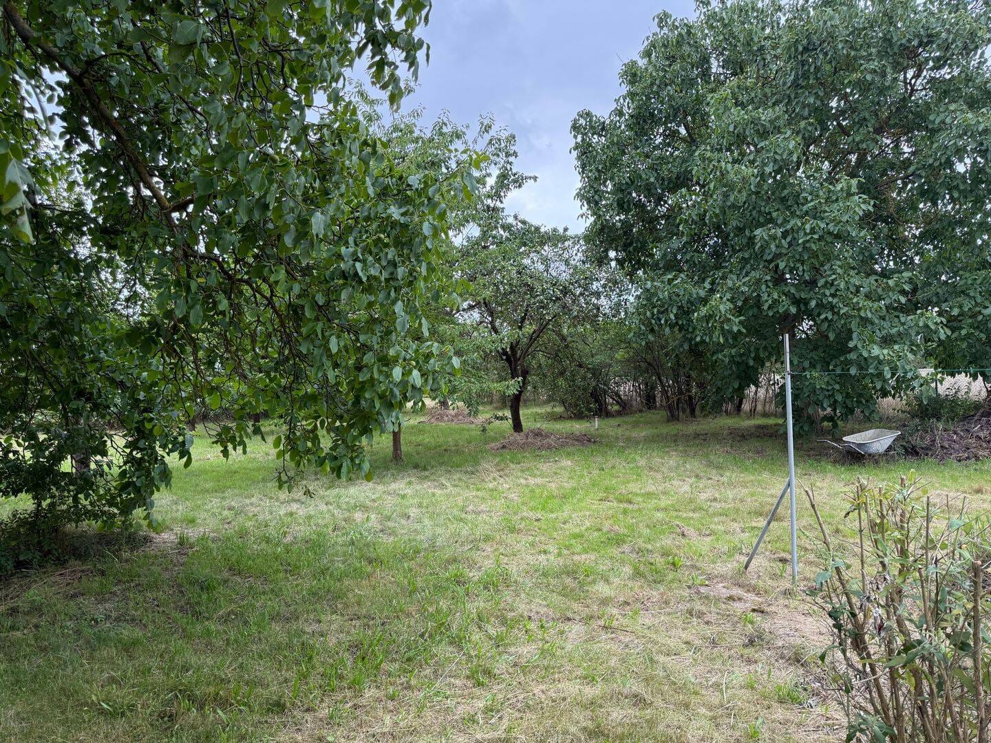 Immobilie in Niedergörsdorf - Traumhafter Bauernhof mit über 400 qm Nutzfläche und 3000 qm Land - Bild 3