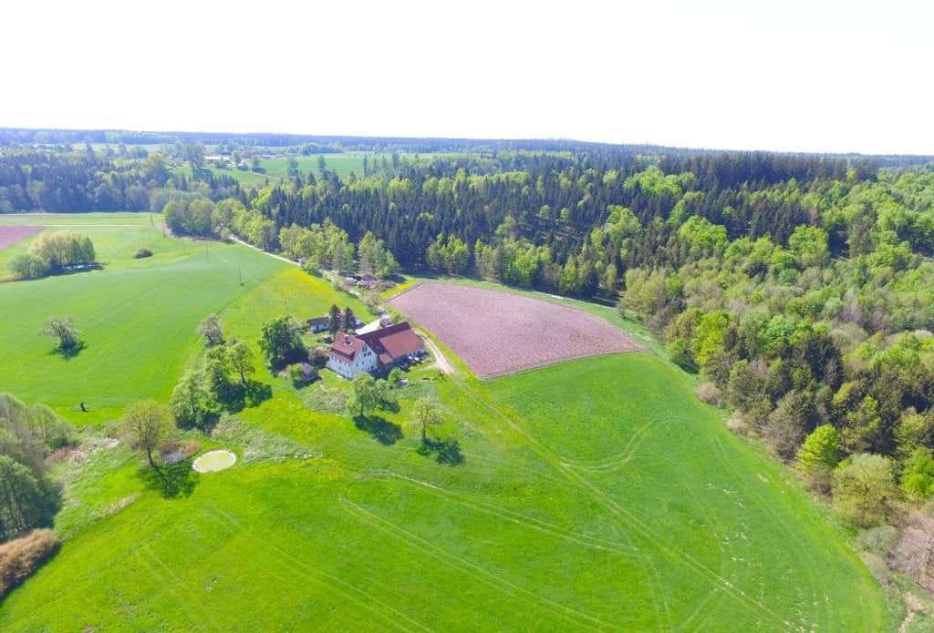 Immobilie in Frankenhardt - Traumhaft & selten: Aussiedlerhof mit ca.1,3 ha Grund in absoluter Alleinlage zw. Ellw.- Cr. (B 290) - Bild 0
