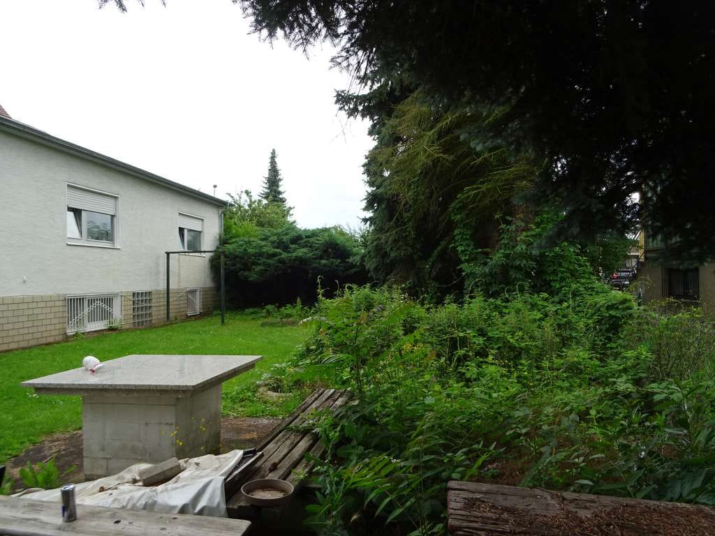 Immobilie in Linsengericht - Altenhasslau: Mehrfamilienhaus mit drei Wohnungen, ausgebautem Untergeschoss und großem Grundstück.. - Bild 4