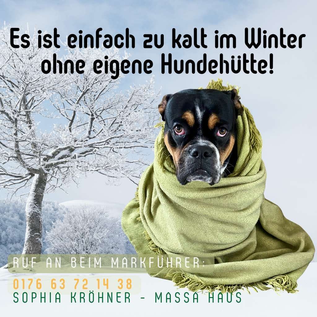 Immobilie in Rochlitz - Freiheit in den eigenen 4 Wänden - Bild 4