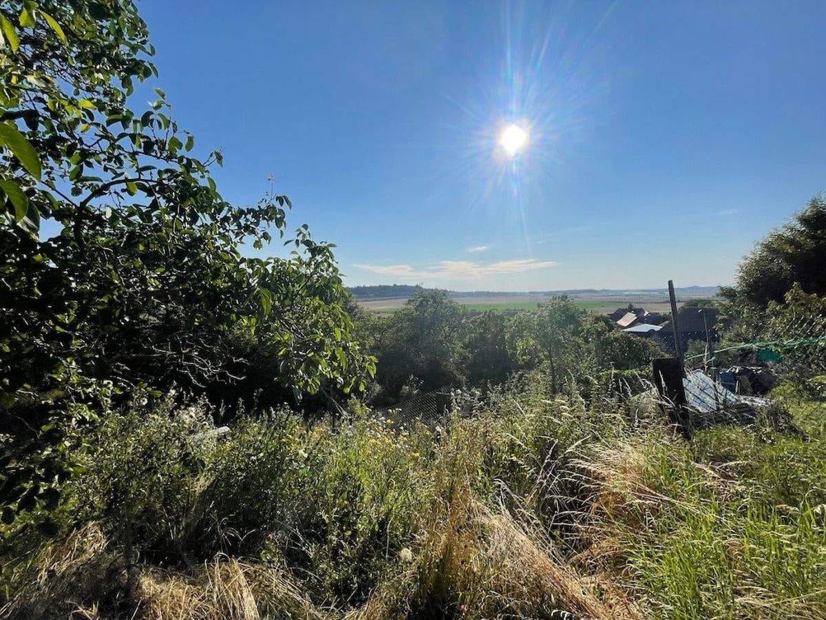 Immobilie in Blankenburg - Wohnen in naturnaher Lage mit Fernblick - Bild 2