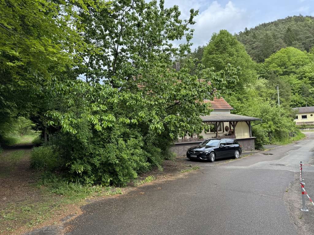 Immobilie in Waldfischbach-Burgalben - ***Absolute Traumlage im Pfälzerwald*** - Bild 1